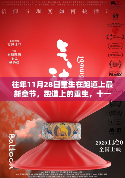 十一月二十八日跑道上的重生温馨日常