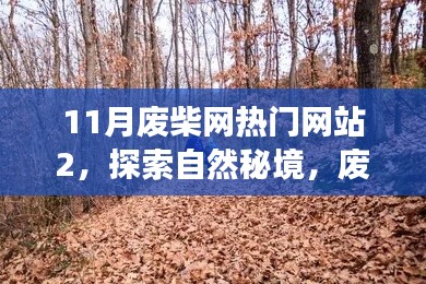 热门游戏 第264页