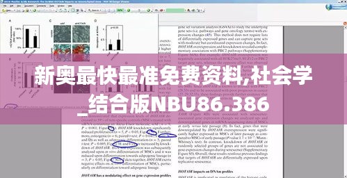 游戏攻略 第252页