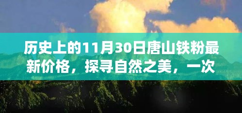 漫天飞舞 第3页