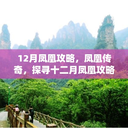 百不得一 第3页