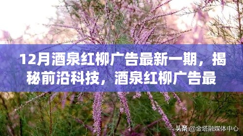 民贵君轻 第3页