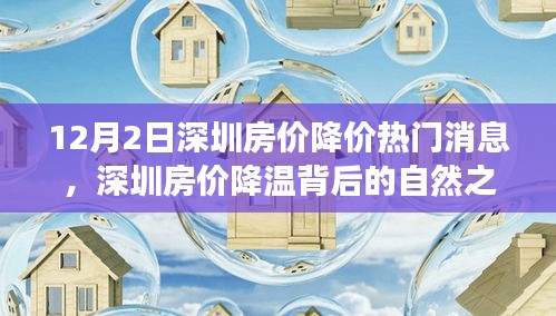 张王李赵 第3页