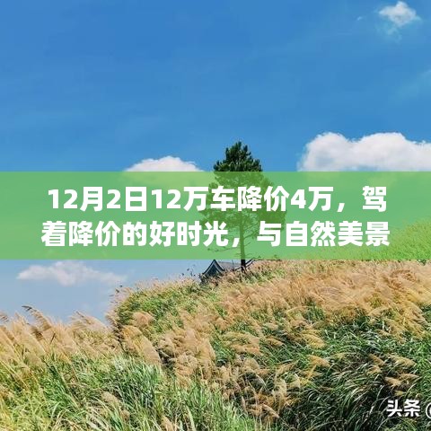 栖鸟于泉 第3页