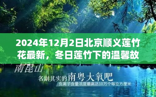 游戏攻略 第216页
