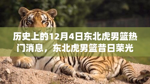 狐假虎威 第3页
