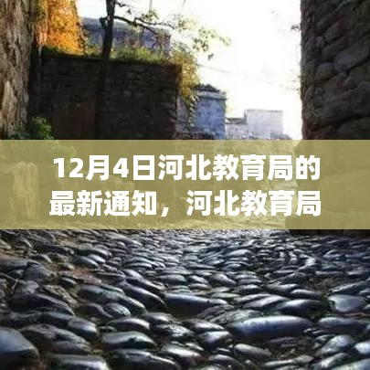 贵险贱璧 第3页
