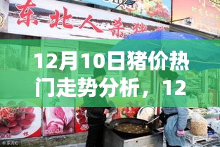 最新热门走势分析，揭秘12月10日猪价走势预测