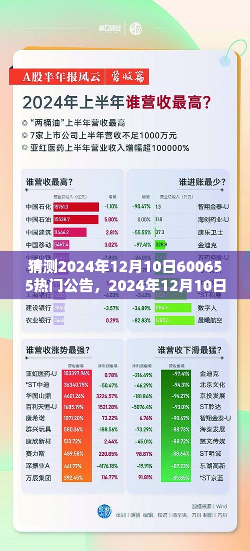 解析与观点阐述