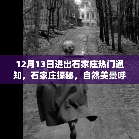 物以稀为贵 第3页