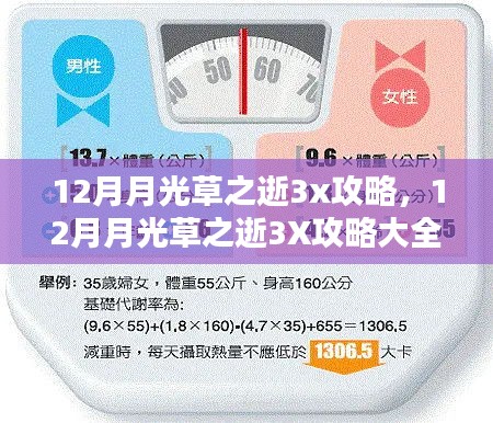 初学者进阶指南