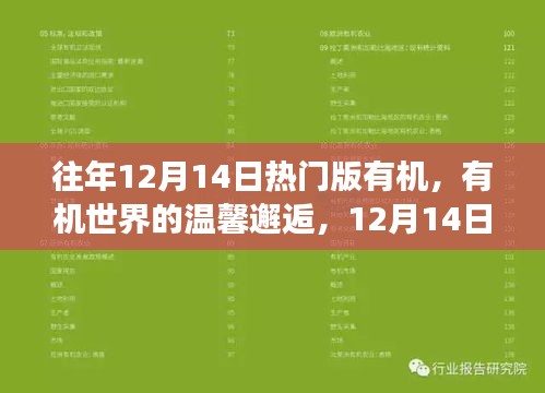 温馨奇遇记