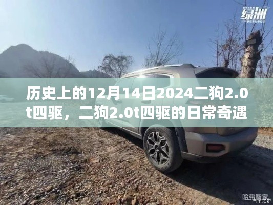 二狗2.0t四驱的日常奇遇与暖心陪伴，历史上的暖心时刻回顾