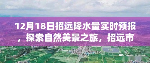 定谋贵决 第2页