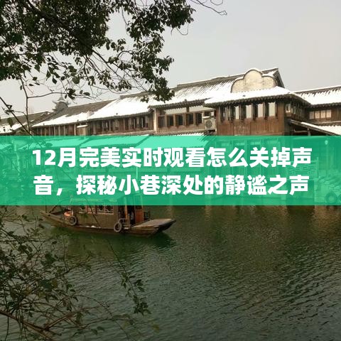 探秘静谧小巷与隐藏美食小店的秘密故事，声音开关指南