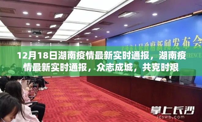 湖南疫情最新实时通报，众志成城，共克时艰时刻