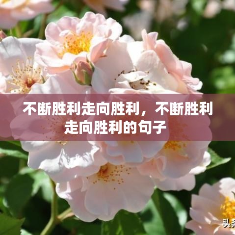 不断胜利走向胜利，不断胜利走向胜利的句子 