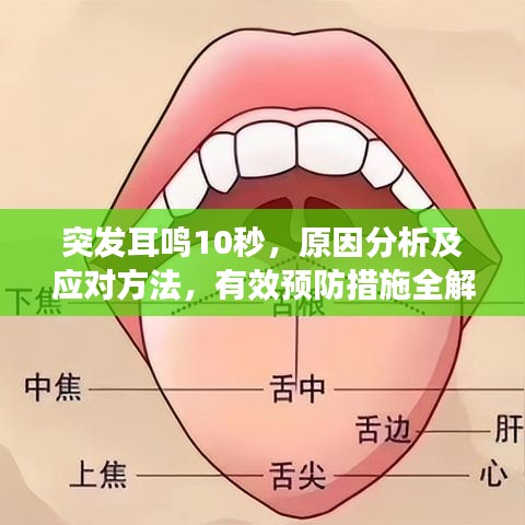 吉光片羽 第2页
