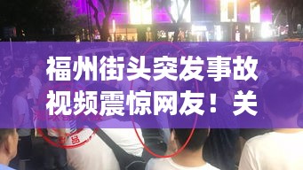 鸿飞雪爪 第2页