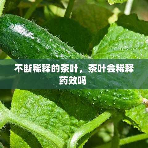粗衣淡饭 第2页