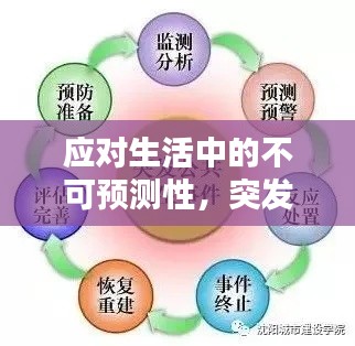 母以子贵 第2页