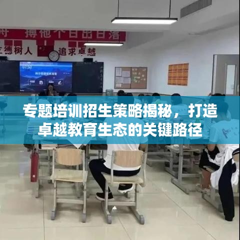 专题培训招生策略揭秘，打造卓越教育生态的关键路径