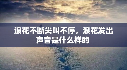 笨鸟先飞 第2页