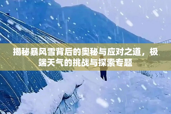 张张屈屈 第2页