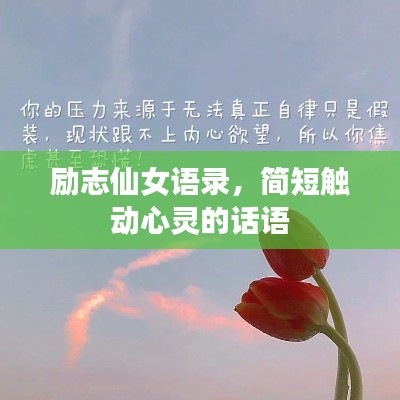 励志仙女语录，简短触动心灵的话语