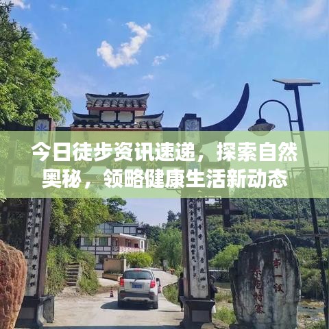 今日徒步资讯速递，探索自然奥秘，领略健康生活新动态