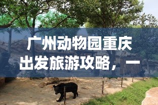 广州动物园重庆出发旅游攻略,一站式游玩指南!