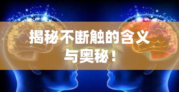 揭秘不断触的含义与奥秘！