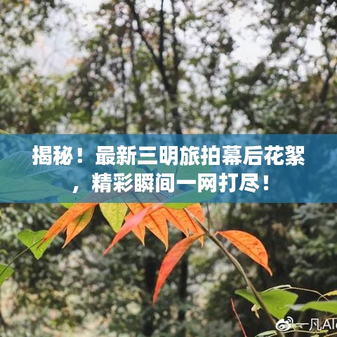 揭秘！最新三明旅拍幕后花絮，精彩瞬间一网打尽！