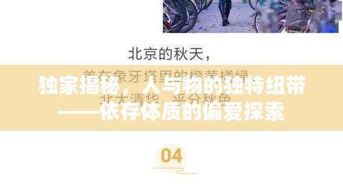 独家揭秘，人与物的独特纽带——依存体质的偏爱探索