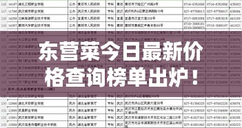 东营菜今日最新价格查询榜单出炉！