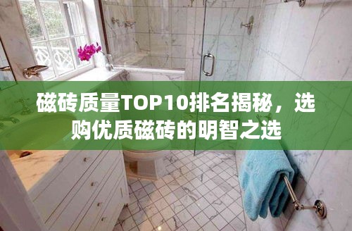 磁砖质量TOP10排名揭秘，选购优质磁砖的明智之选