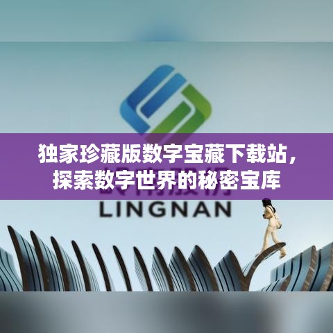 独家珍藏版数字宝藏下载站，探索数字世界的秘密宝库