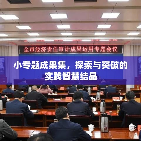 小专题成果集，探索与突破的实践智慧结晶