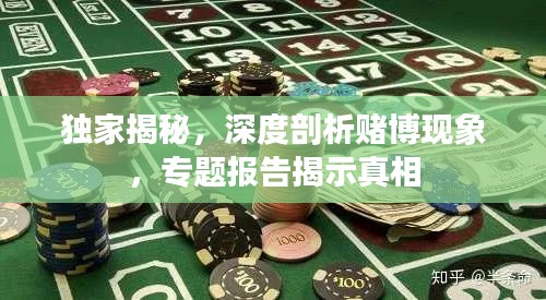 独家揭秘，深度剖析赌博现象，专题报告揭示真相