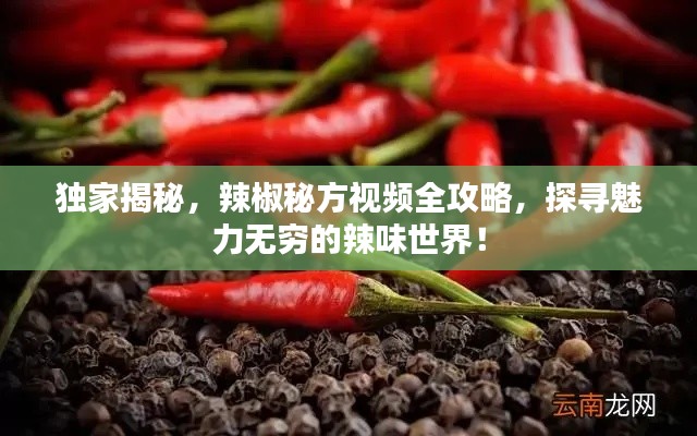 独家揭秘，辣椒秘方视频全攻略，探寻魅力无穷的辣味世界！