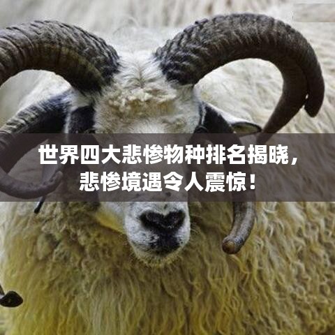 联系我们 第31页