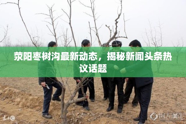 荥阳枣树沟最新动态，揭秘新闻头条热议话题