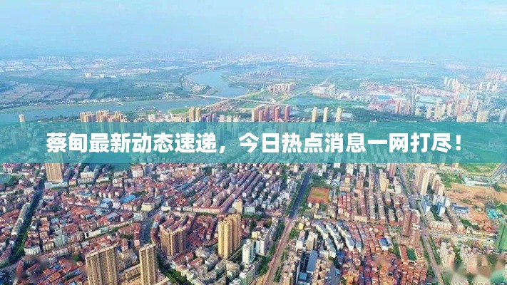 蔡甸最新动态速递，今日热点消息一网打尽！