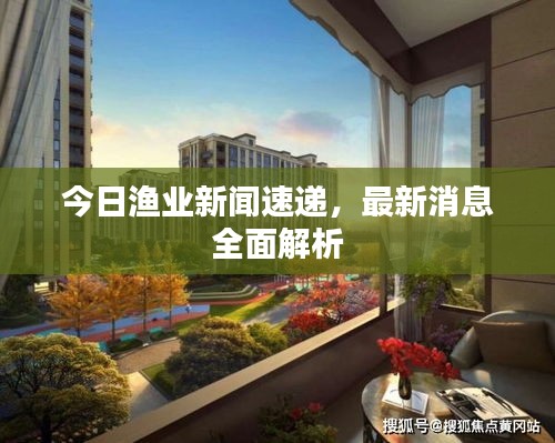 今日渔业新闻速递，最新消息全面解析