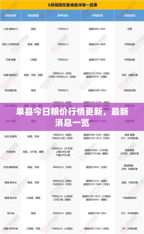 单县今日粮价行情更新，最新消息一览