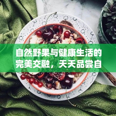 自然野果与健康生活的完美交融，天天品尝自然之味