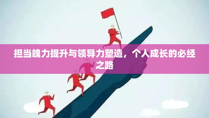 担当魄力提升与领导力塑造，个人成长的必经之路