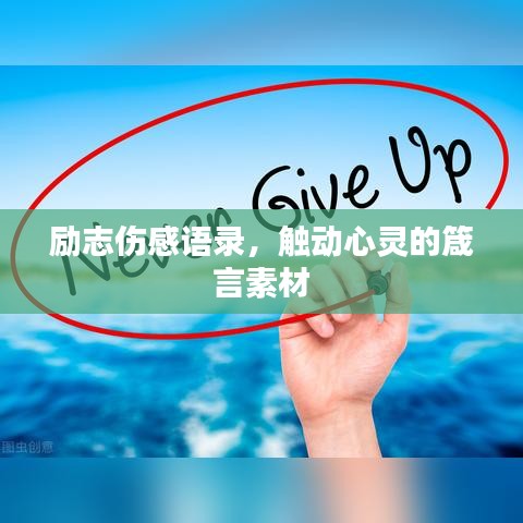 资料大全下载 第19页