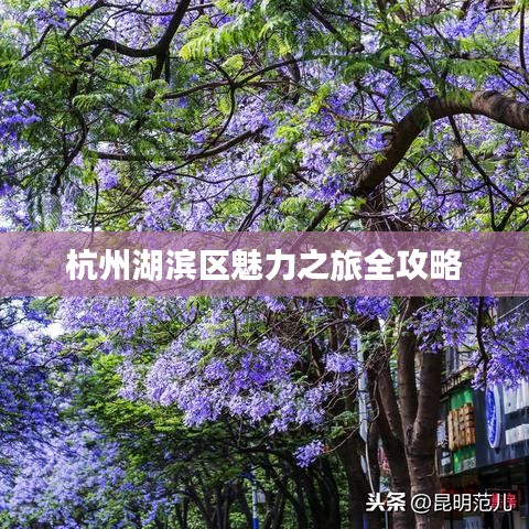 杭州湖滨区魅力之旅全攻略