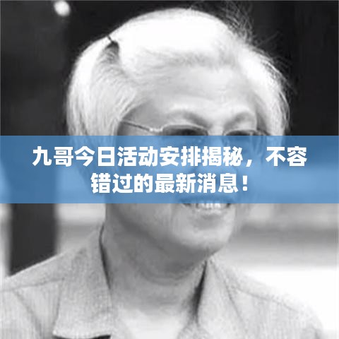 九哥今日活动安排揭秘，不容错过的最新消息！